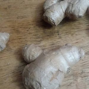 1 pound Ginger roots ready to grow plant garden